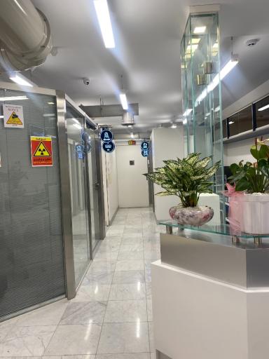 عکس رادیولوژی فک و صورت پاییز 