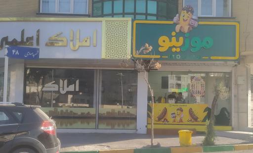 عکس موزینو