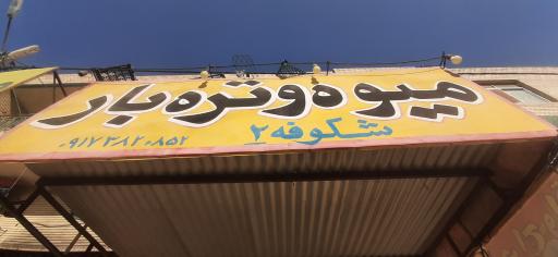 عکس میوه و تره بار شکوفه ۲