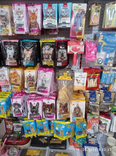 عکس پت شاپ چیکو پرند