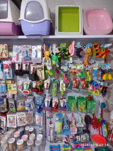 عکس پت شاپ چیکو پرند