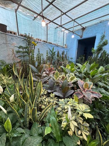 عکس نمایشگاه گل و گیاه مرتضی