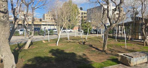 عکس پارک جلال