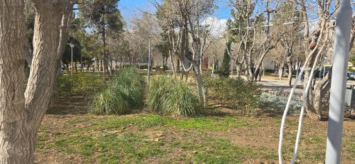 عکس پارک جلال