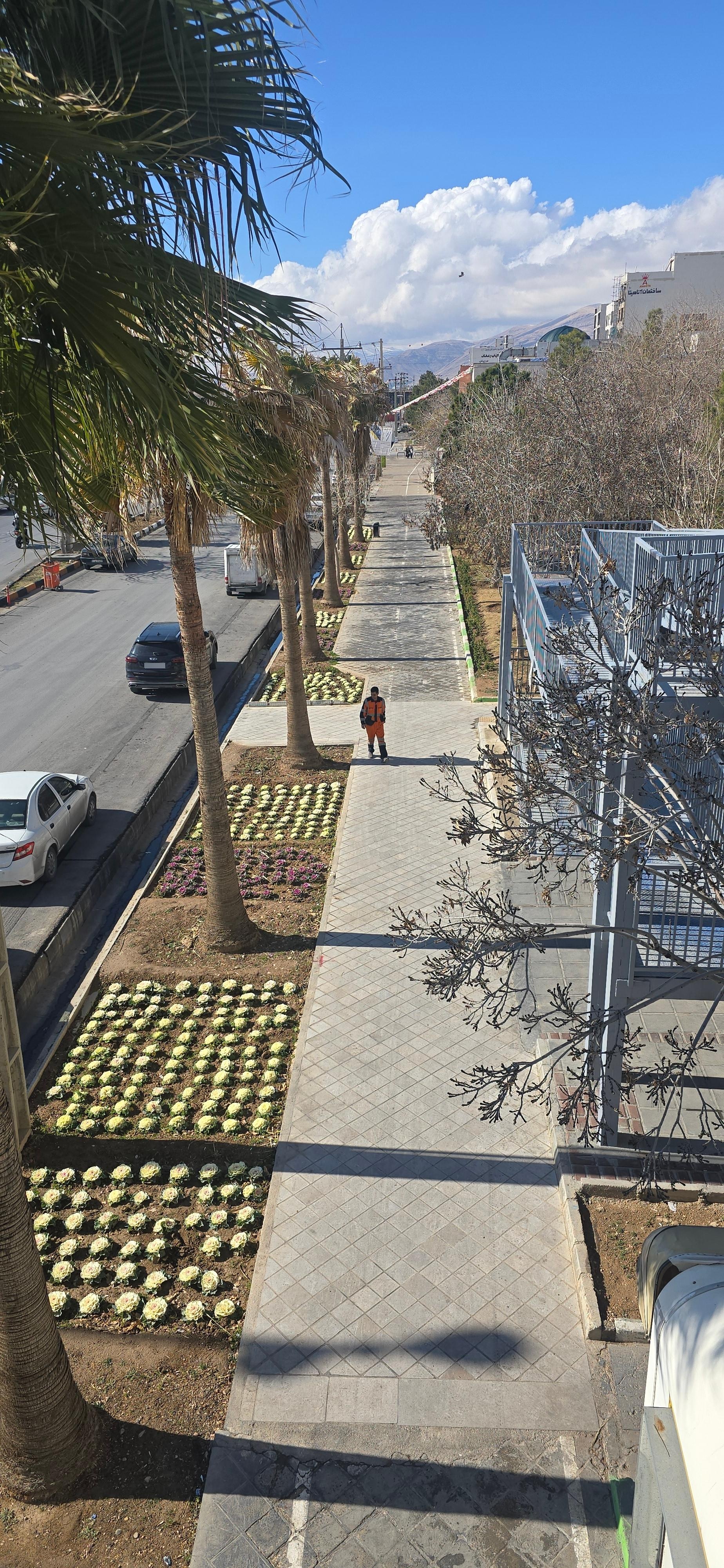 عکس پارک جلال