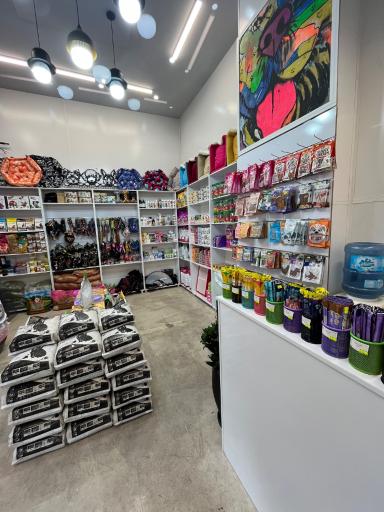 عکس پت شاپ گلد