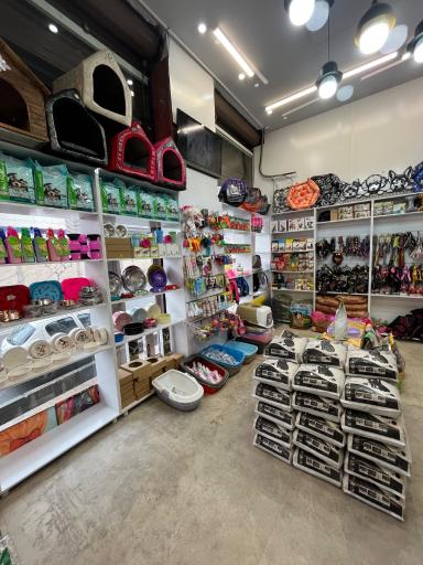 عکس پت شاپ گلد