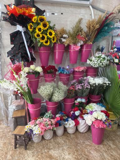 عکس گلفروشی حسناگل