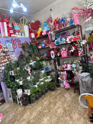 عکس گلفروشی حسناگل