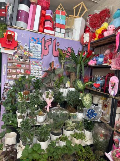 عکس گلفروشی حسناگل