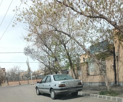 عکس اداره تعاون کار و رفاه اجتماعی