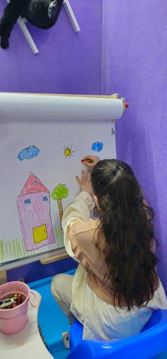 عکس خانه بازی هوم لند
