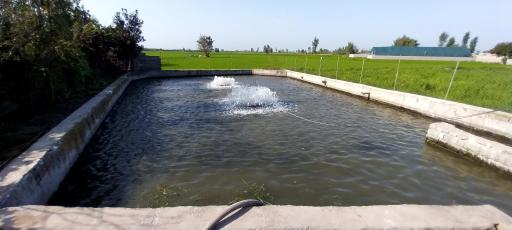 عکس مجموعه پرورشی قائم (عج)