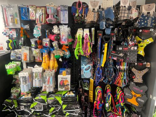 کلینیک شبانه روزی حیوانات خانگی تبریز پلاس