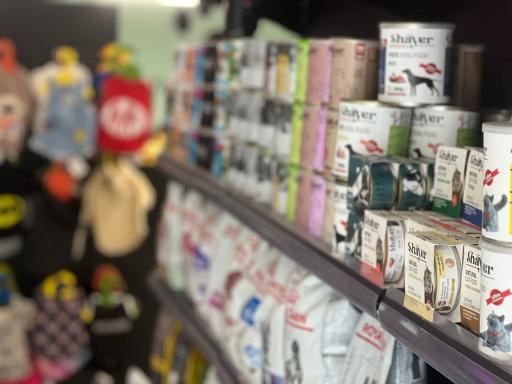 عکس کلینیک شبانه روزی حیوانات خانگی تبریز پلاس