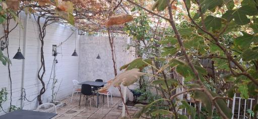 عکس کافه حس شیرین