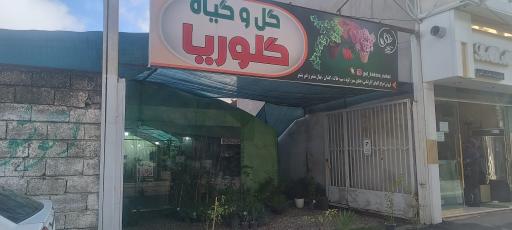 عکس گلخانه گلوریا (جعفری)