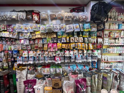 عکس پت شاپ پر طلایی امیر