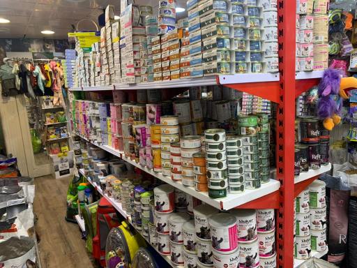 عکس پت شاپ پر طلایی امیر