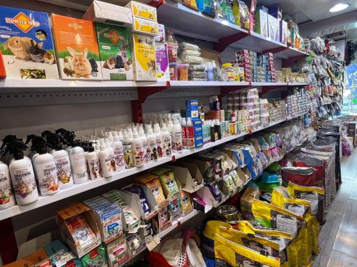 عکس پت شاپ پر طلایی امیر