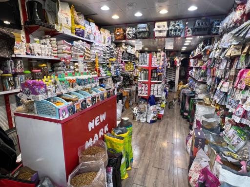 عکس پت شاپ پر طلایی امیر