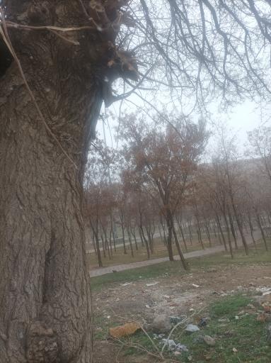 عکس پارک مادر