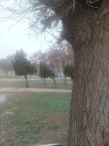 عکس پارک مادر