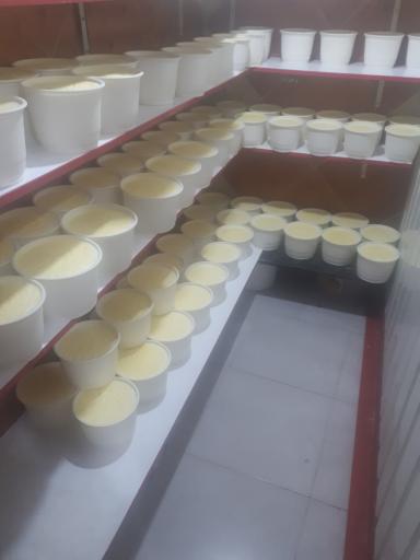 عکس لبنیات سنتی ماهان امیر محمد