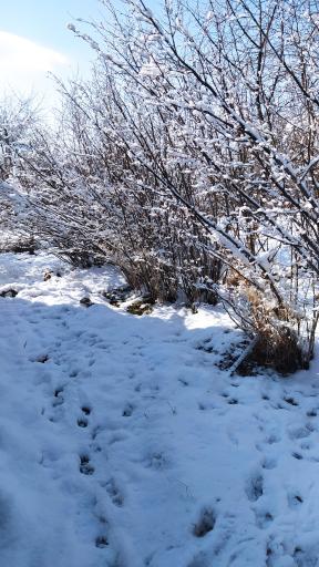 عکس پارک مادر