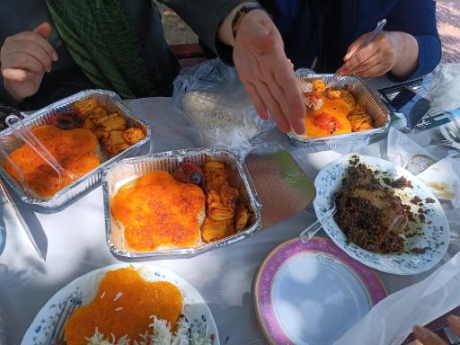 عکس تهیه غذا مهرخاتون 