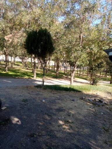 عکس پارک مادر