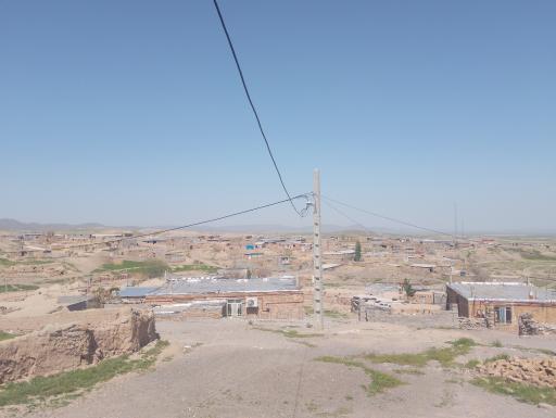 عکس دم روباه