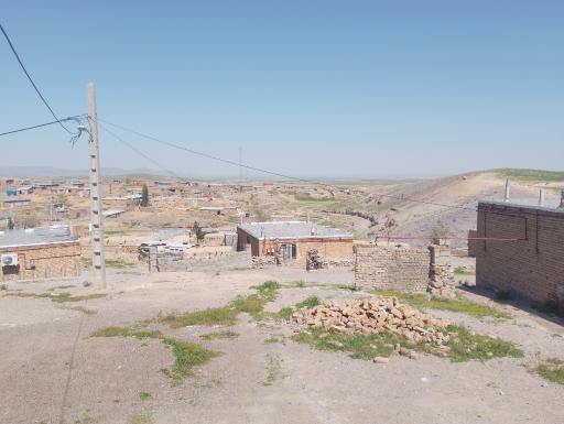 عکس دم روباه