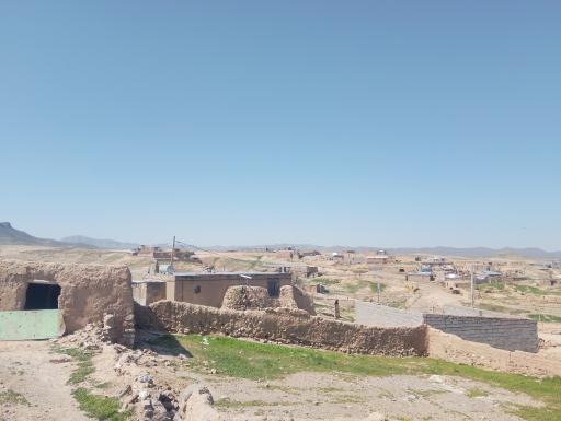عکس دم روباه