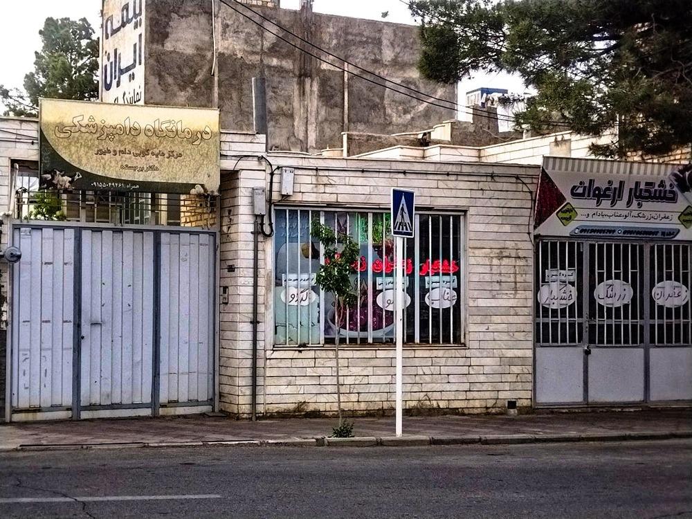 عکس کلینیک دامپزشکی دکتر برجسته