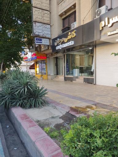 عکس کاشی مرجان 