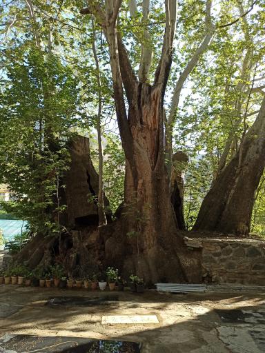 امامزاده گورو