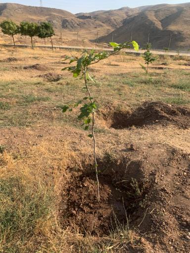 عکس بوستان ساحلی لواسان 