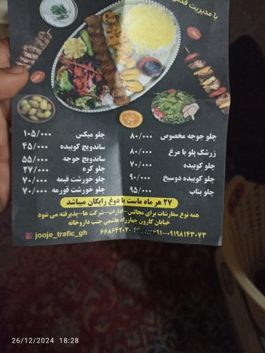 عکس جوجه ترافیک