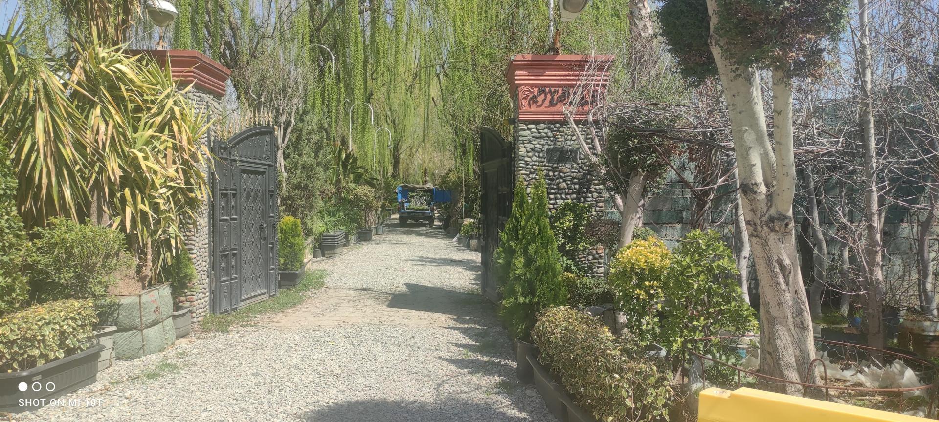 عکس نهالستان و گلخانه گل و گیاه بیات