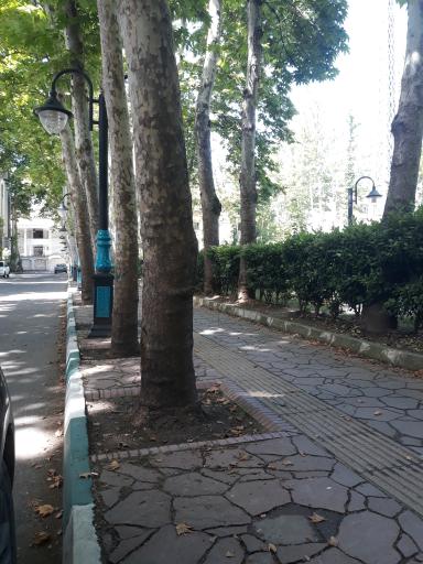 عکس بوستان گلسار