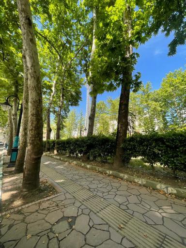 عکس بوستان گلسار