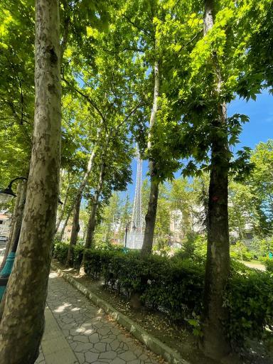 عکس بوستان گلسار