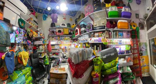 عکس پت شاپ سهند