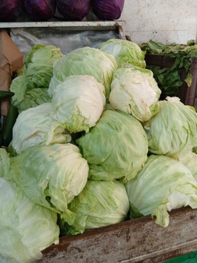 عکس میوه فروشی مرادی و دریابی