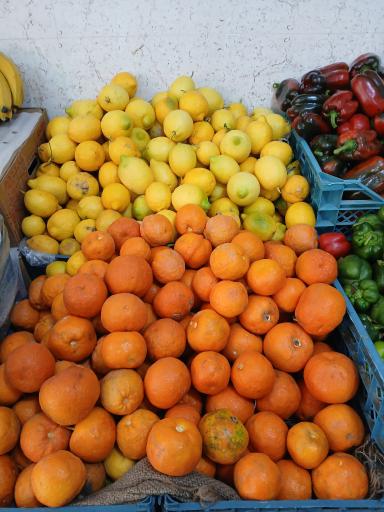 عکس میوه فروشی مرادی و دریابی
