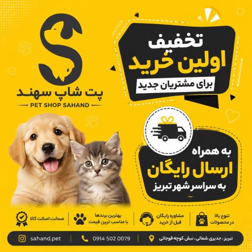عکس پت شاپ سهند