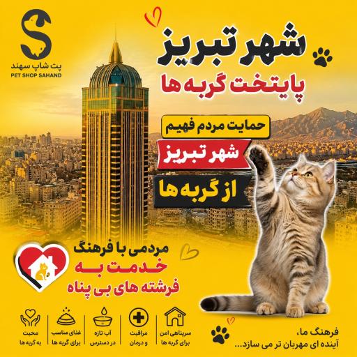 عکس پت شاپ سهند