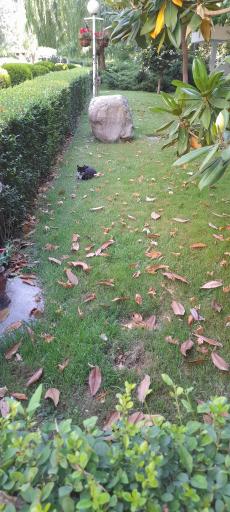 عکس شهرک مسکونی آتی ساز