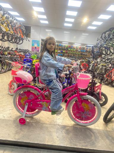 فروشگاه دوچرخه وحیدی